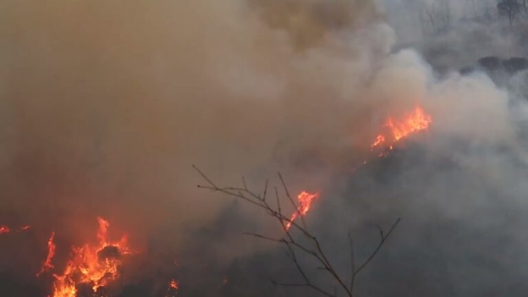 Incêndio na Serra da Arrábida: O combate às chamas em uma das mais belas paisagens portuguesas