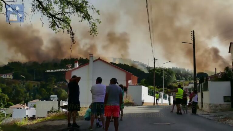 Análise do Incêndio em Venda do Pinheiro: Causas, Impactos e Medidas Preventivas