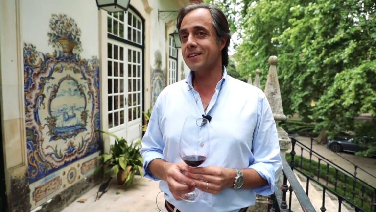 Descubra a Beleza da Quinta Casal Branco